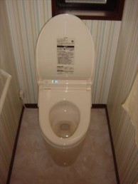 グリーンの壁紙で爽やかトイレに